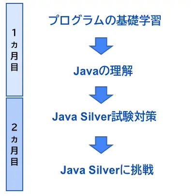 未経験者向けの研修の流れ